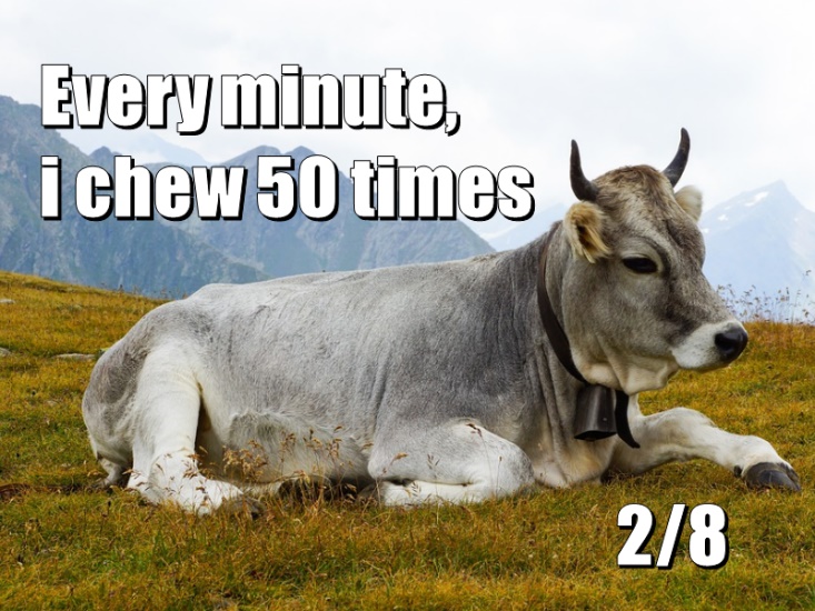 Every minute, I chew 50 times 2/8