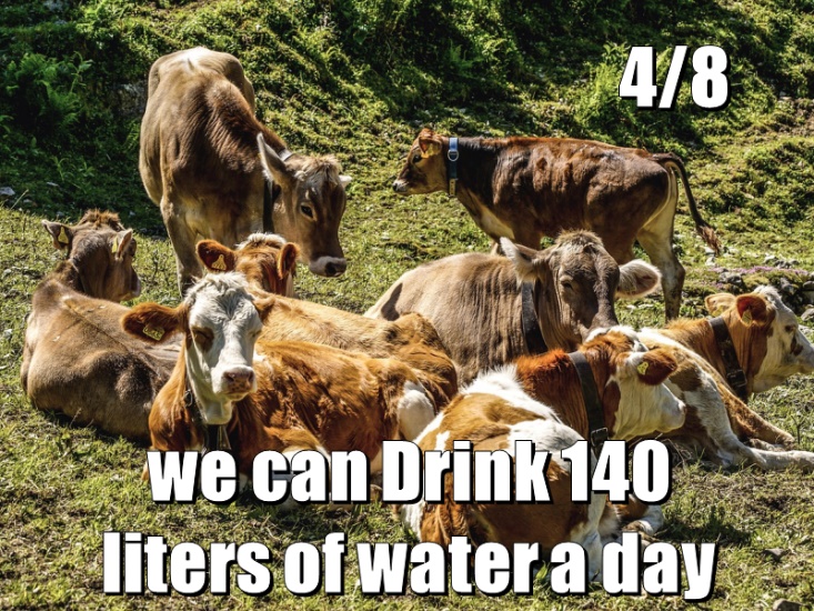 We can drivk 40 liters of water per day 4/8