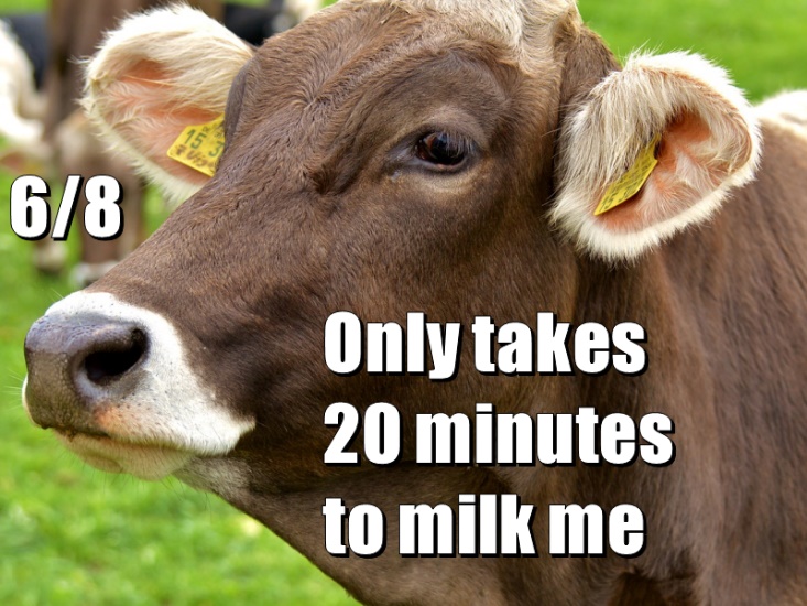 Only takes 20 minutes to milk me 6/8