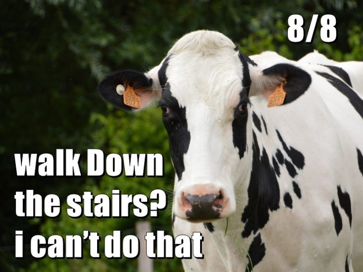 Walk Down the stairs? i can't do that 8/8